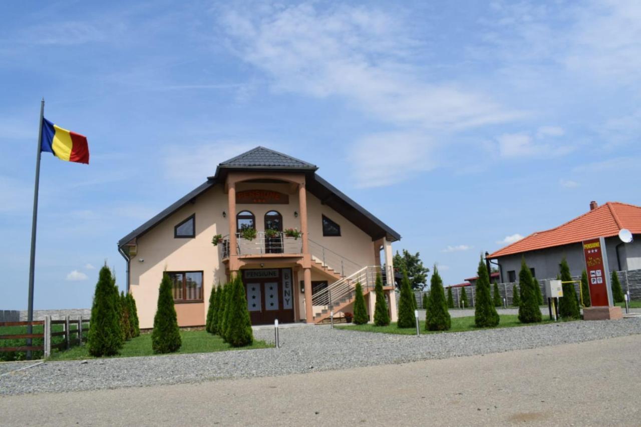 Pensiunea La Beny Cicir Exterior foto